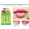 Губные помады HENG Fang Magic Colour Lipstick, 12 штук (106)