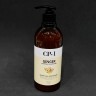 Esthetic CP-1 Ginger Purifying 500ml (125)