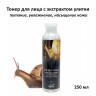 Тонер Eco Branch Golden Snail Hypoallergenic Skin Toner 250ml (51)