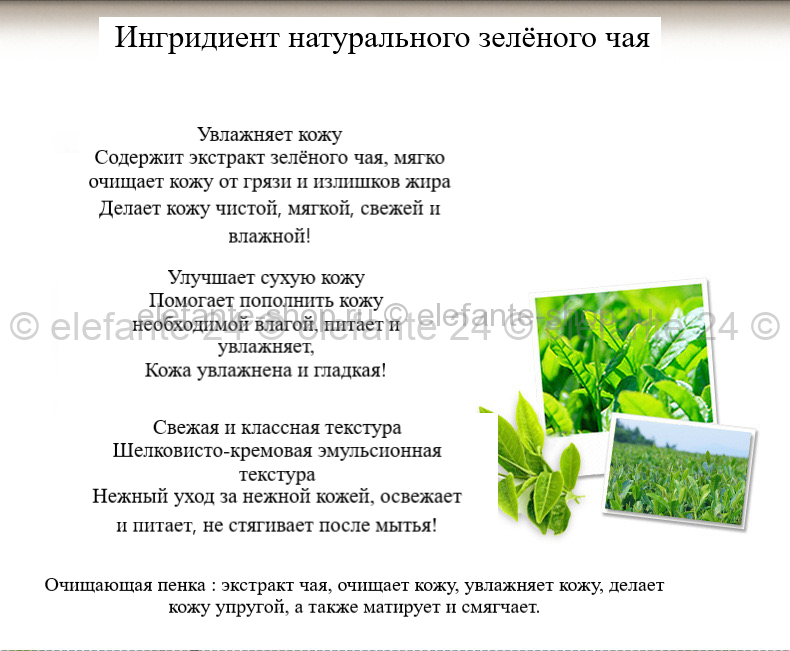 Пенка для лица с экстрактом зеленого чая, 100 гр