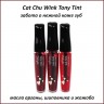 Тинт для губ TONYMOLY Delight Cat Chu Wink Tint 9ml (51)