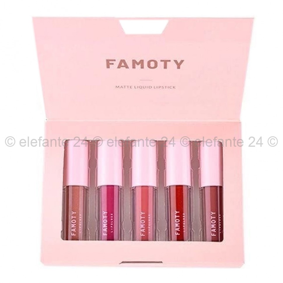 Набор блесков для губ Famoty Matte Liquid Lipstick 5pcs (106)