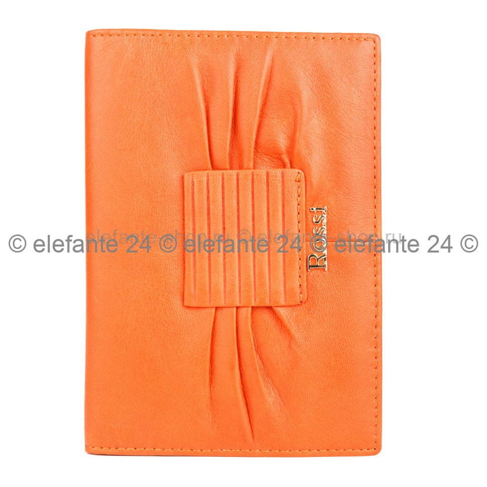 Обложка паспорта ER2203L Orange
